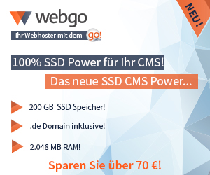 SSD CMS Hosting Power - 300x250